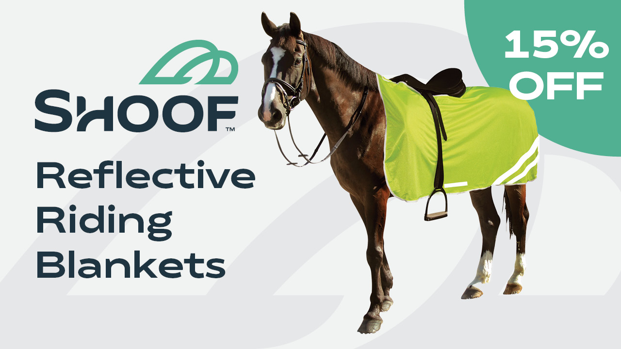 Reflective Riding Blanket