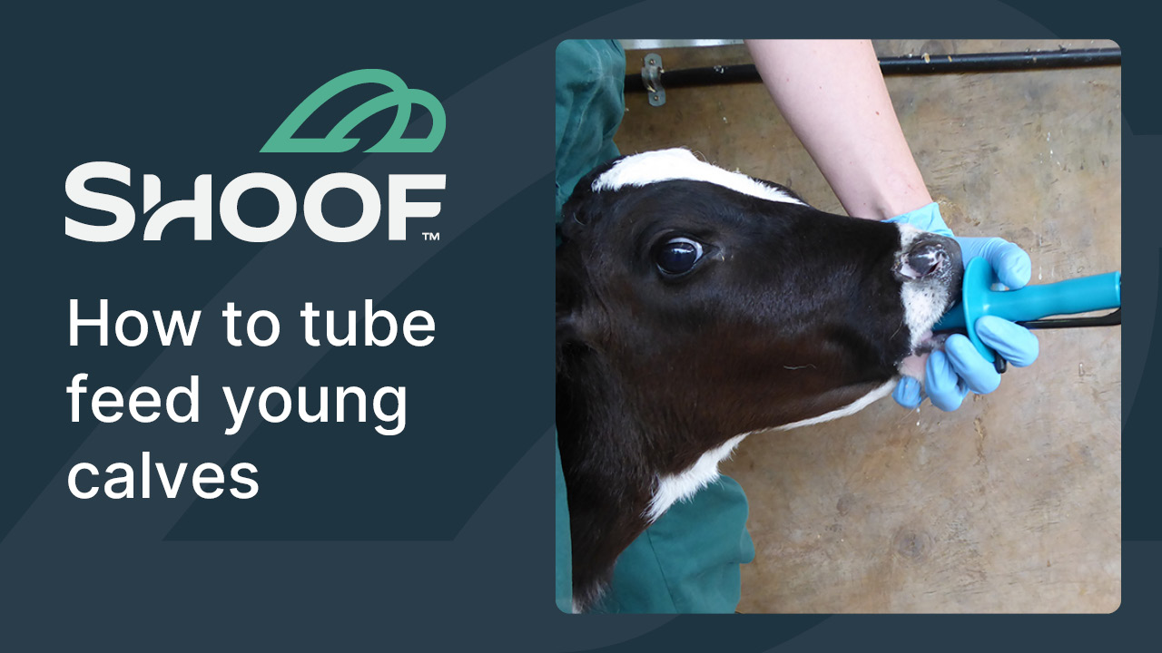 Tube Feeding