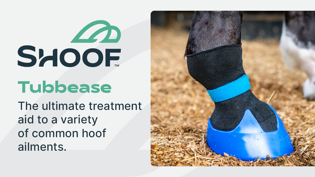 Tubbease Hoof Socks